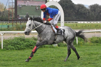 Bochalet da Clodia