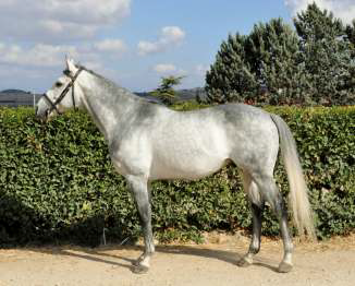 Imperatore da Clodia