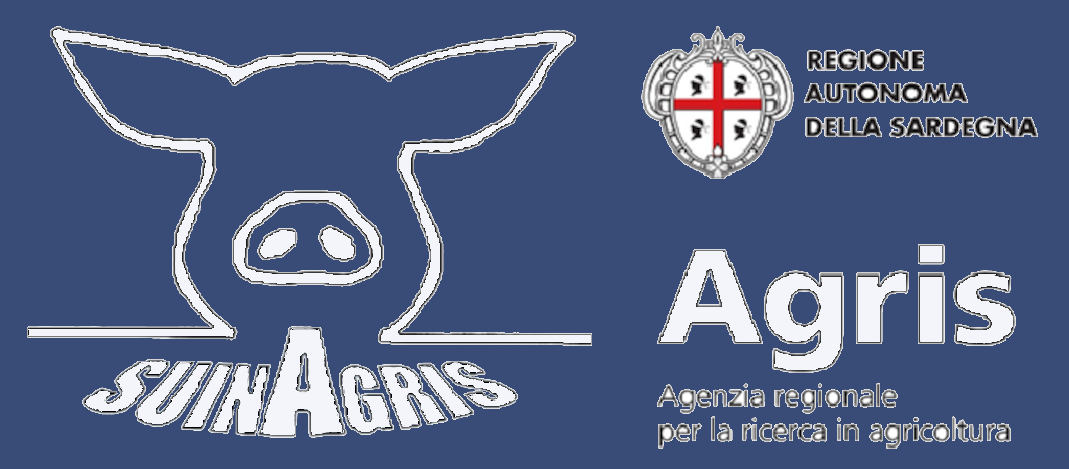 Agris Riproduzione Suini